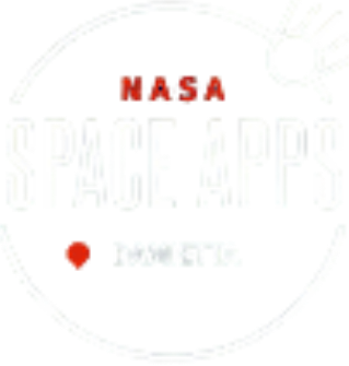 Nasa space Dami Original